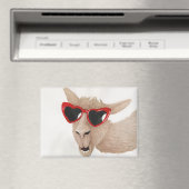 Llamas in Shades: 2月マグネット3.5"x2.5" マグネット (インサイチュ (食洗機))