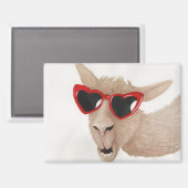 Llamas in Shades: 2月マグネット3.5"x2.5" マグネット (正面/裏面)