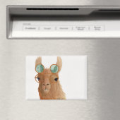 Llamas in Shades: 9月マグネット3.5"x2.5" マグネット (インサイチュ (食洗機))