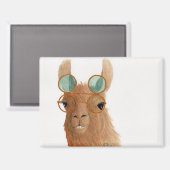 Llamas in Shades: 9月マグネット3.5"x2.5" マグネット (正面/裏面)