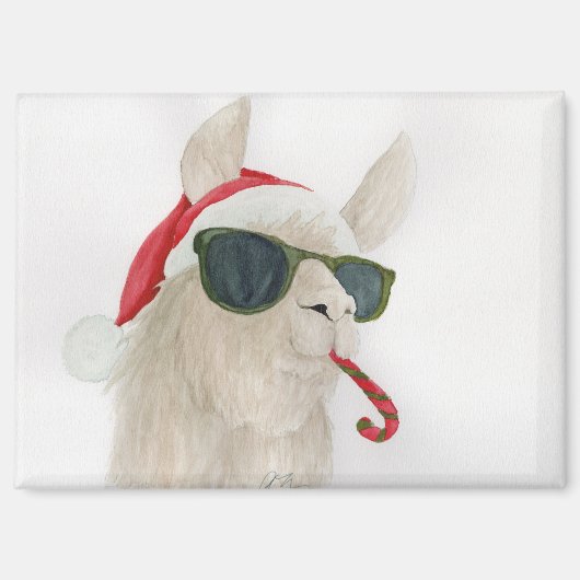 Llamas in Shades: December Magnet 3.5"x2.5" マグネット (正面)