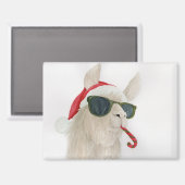 Llamas in Shades: December Magnet 3.5"x2.5" マグネット (正面/裏面)