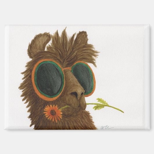 Llamas in Shades: May Magnet 3.5"x2.5" マグネット (正面)