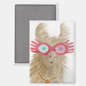Llamas in Shades: October Magnet 2.5"x3.5" マグネット (正面/裏面)