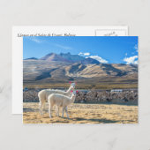 Llamitas en el Salar de Uyuni，ボリビア。 ポストカード (正面/裏面)