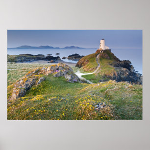 Llanddwynの島のTwr Mawrの灯台 ポスター