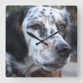 Llewellinのセッターの柱時計 スクエア壁時計 (正面)
