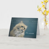 Lo Siento、Loss of Catの悔やみや弔慰 カード (黄色い花)