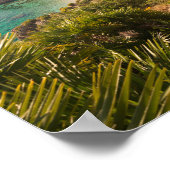 Lo Zingaro，シチリア島の閑静なビーチ ポスター (角)