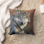 Lobo Gris クッション (ブランケット)