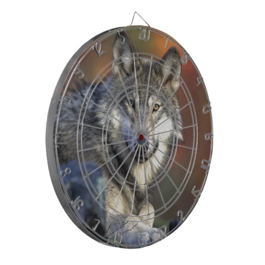 Lobo Gris ダーツボード (正面左)