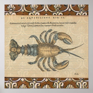 Lobster Illustration Antique Maine Seafood ポスター
