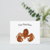Lobster Postcard ポストカード (スタンド正面)
