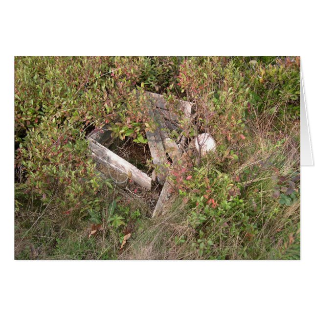 Lobstermanの箱およびbobber、メイン、米国 (正面横)