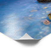 Loch Fyneスコットランド写真プリント フォトプリント (角)