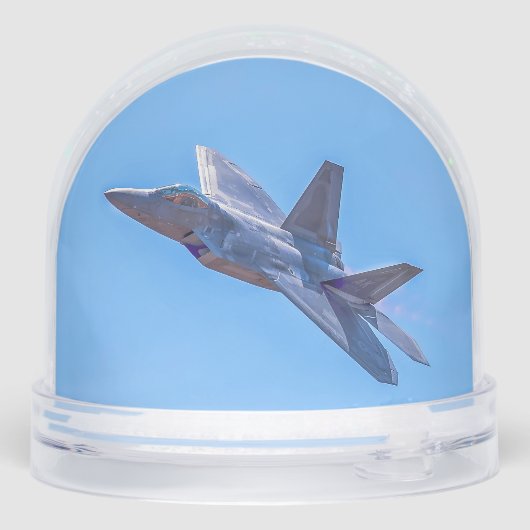 Lockheed Martin F-22A Raptor (裏面)