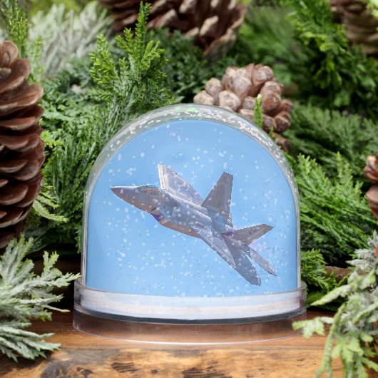 Lockheed Martin F-22A Raptor (冬)