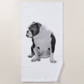 Lodge Pool Companion ビーチタオル (正面)