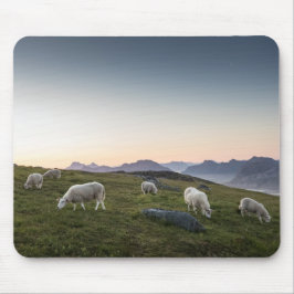 Lofoten Sheep Landscapeの写真 マウスパッド