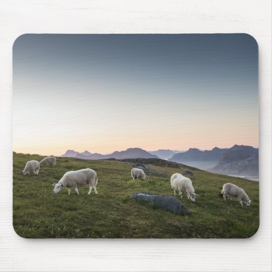 Lofoten Sheep Landscapeの写真 マウスパッド (正面)