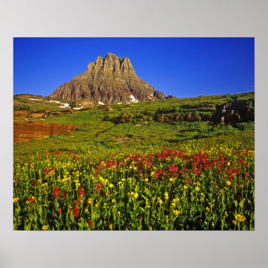 Logan Pass in Glacierのアルパインワイルドフラワー ポスター (正面)
