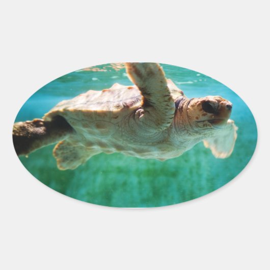 Loggerhead #1ステッカー 楕円形シール (正面)