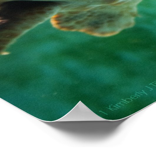 Loggerhead #1ポスター ポスター (角)