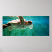 Loggerhead #1ポスター ポスター (正面)