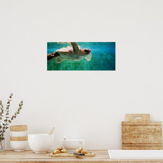 Loggerhead #1ポスター ポスター (キッチン)