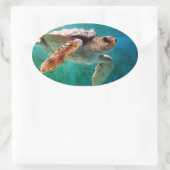 Loggerhead #2ステッカー 楕円形シール (バッグ)