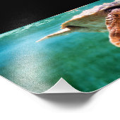 Loggerhead #2写真 フォトプリント            (角)