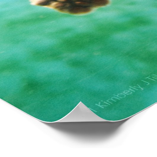 Loggerhead #3ポスター ポスター (角)