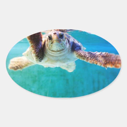 Loggerhead #4ステッカー 楕円形シール (正面)