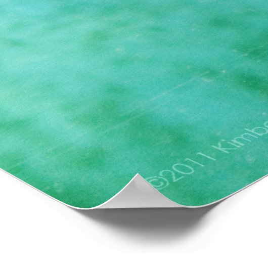 Loggerhead #4ポスター ポスター (角)