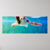 Loggerhead #4ポスター ポスター (正面)