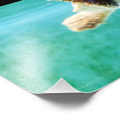 Loggerhead #4写真 フォトプリント            (角)