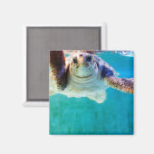 Loggerhead #4磁石 マグネット (正面/裏面)