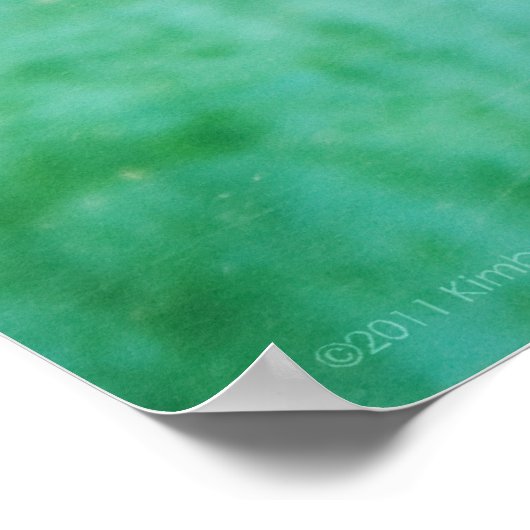 Loggerhead #5ポスター ポスター (角)