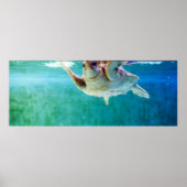 Loggerhead #5ポスター ポスター (正面)