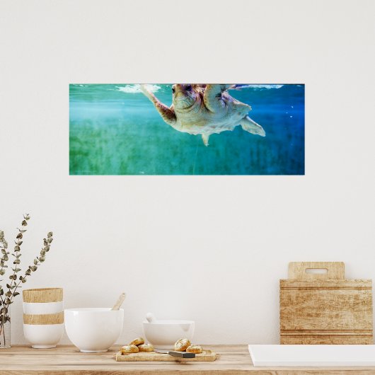 Loggerhead #5ポスター ポスター (キッチン)