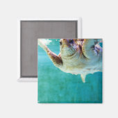 Loggerhead #5磁石 マグネット (正面/裏面)