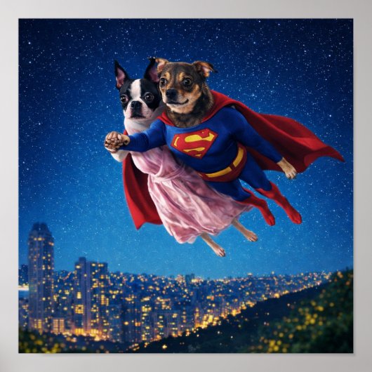 "Lois & Kal" ポスター (正面)