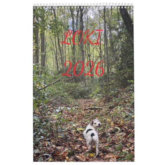 loki 2026 カレンダー (カバー)