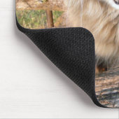 LOLメインのあらいぐま マウスパッド (コーナー)