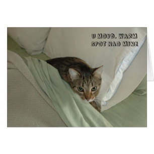 LOL猫カード