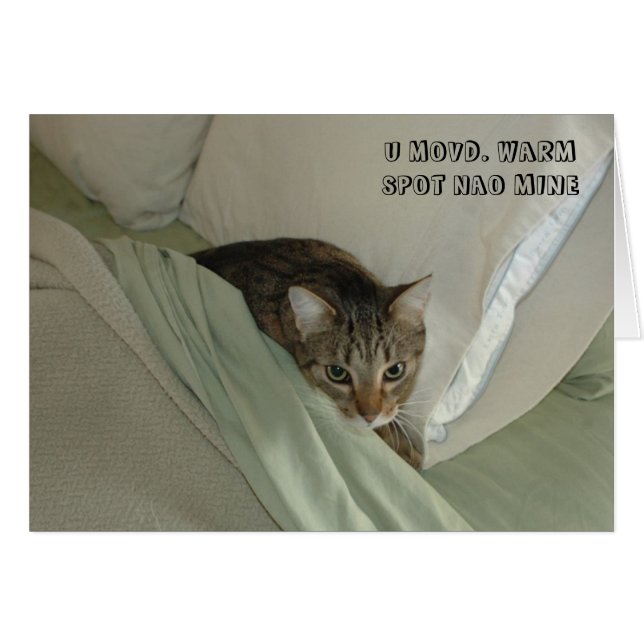 LOL猫カード (正面横)