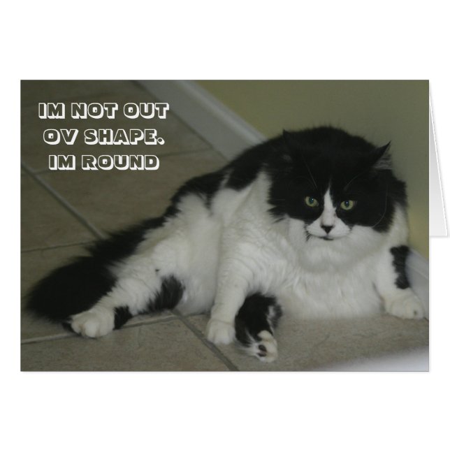 LOL猫カード (正面横)