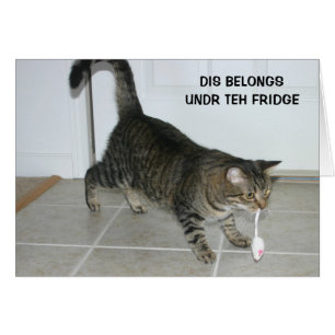 LOL猫カード