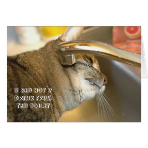 LOL猫カード