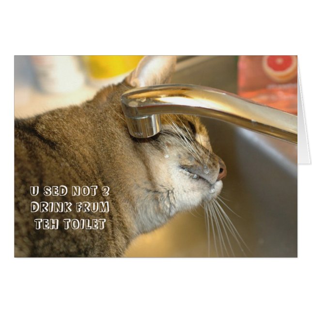 LOL猫カード (正面横)